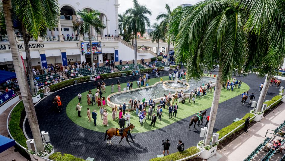 Where to Watch/Listen: Horse Racing Coverage Feb. 26-March 1