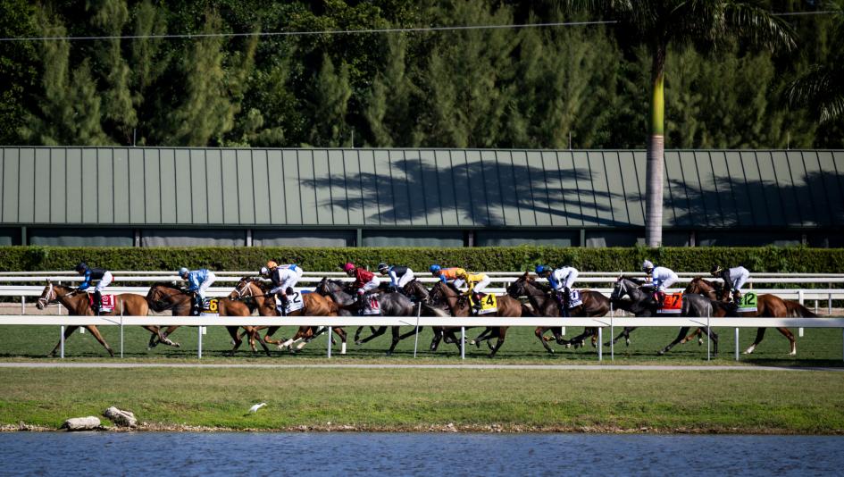 Focus Shifts for Top-Class Horse Racing as Autumn Turns to Winter