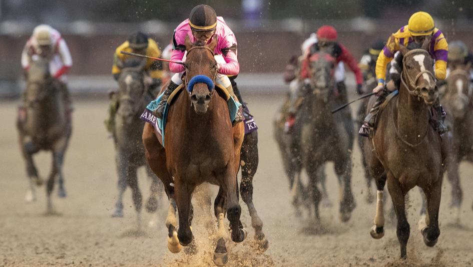 Game Winner put his dominance on display in the Breeders' Cup Juvenile.
