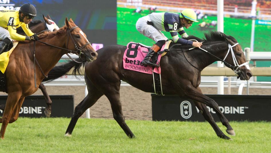 Gas Me Up, Woodbine, Woodbine Mile, America's Best Racing, horse racing, ABR