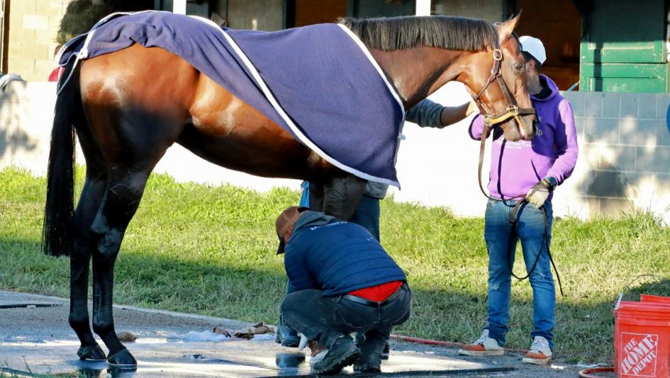 Derby Dozen King BloodHorse rankings Kentucky Derby Churchill Downs workouts Sierra Leone Fierceness Dornoch Just a Touch Forever Young Mystik Dan Domestic Product Stronghold Resilience Honor Marie Just Steel Catching Freedom