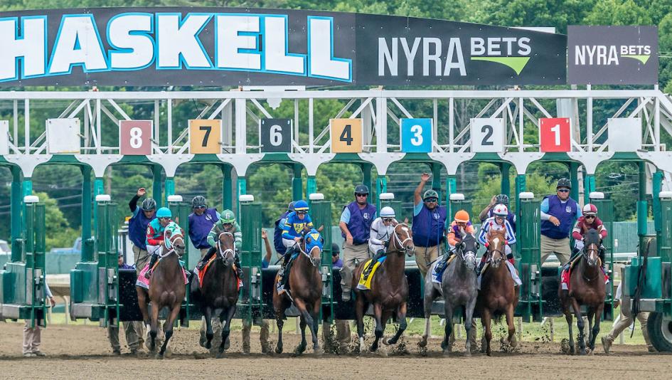Seven Key Trends to Know When Betting the 2025 Haskell Stakes