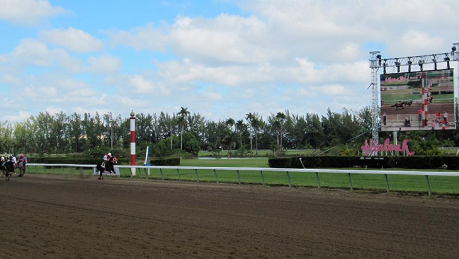 Hialeah Racing Park Hialeah Racing Park