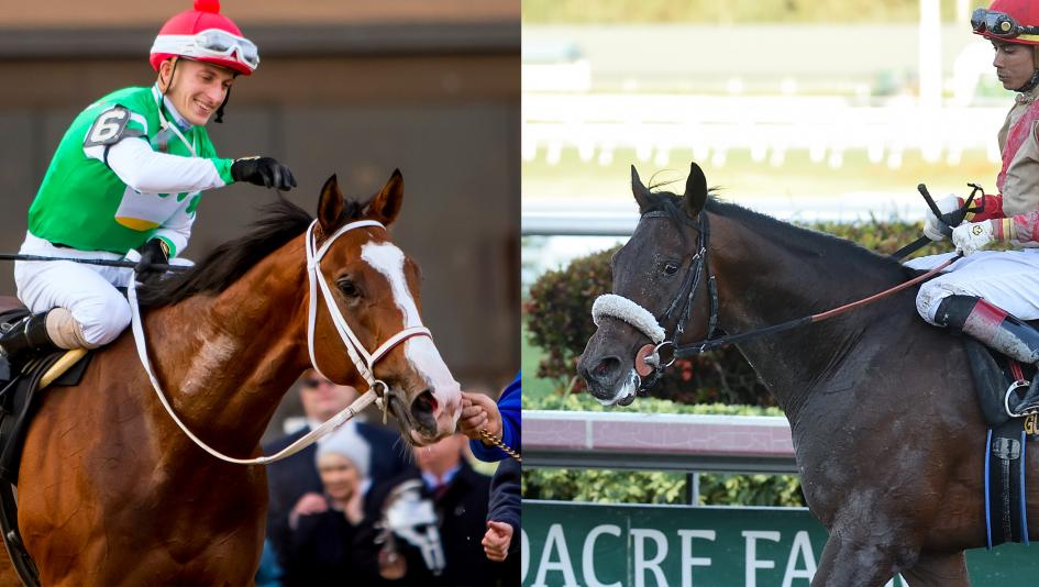 Maximus Mischief (left) and Mihos are two of the top contenders for Saturday's Holy Bull Stakes.