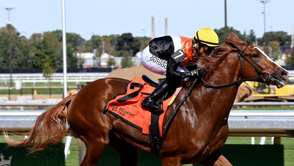 Hullabaloo Ray Ray, Rookie Rankings, Kentucky Derby, Triple Crown, horse racing, America's Best Racing, ABR