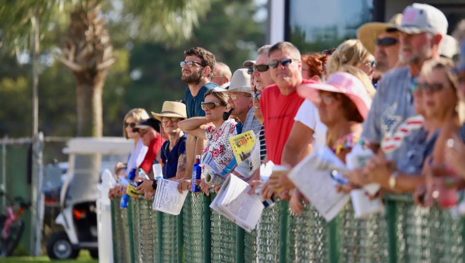 Tampa Bay Derby, Kentucky Derby, America's Best Racing, ABR, horse racing