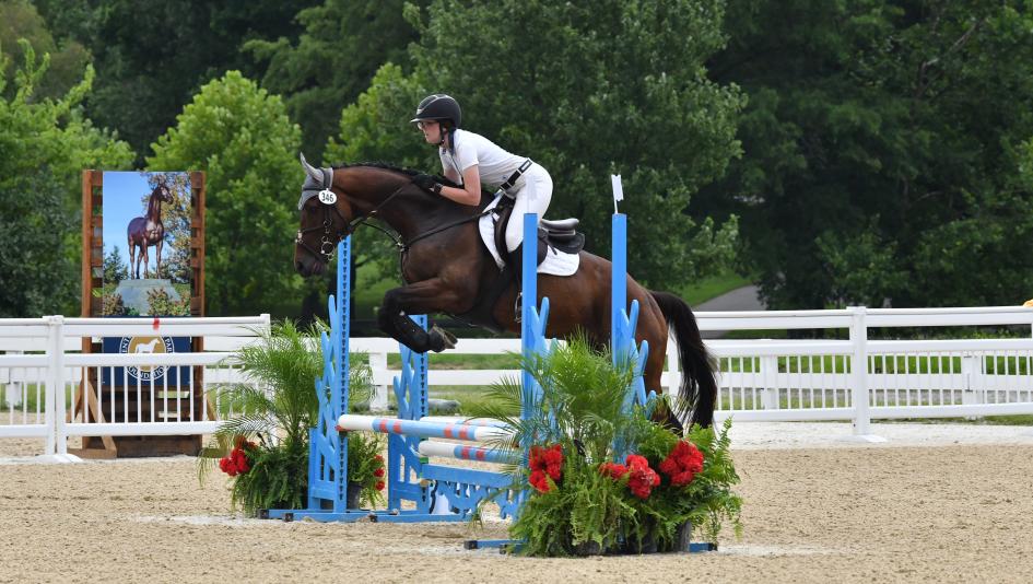 Jordan Sigmon, Maverick, Retired Racehorse Project, Thoroughbred Makeover, America's Best Racing, horse racing, ABR