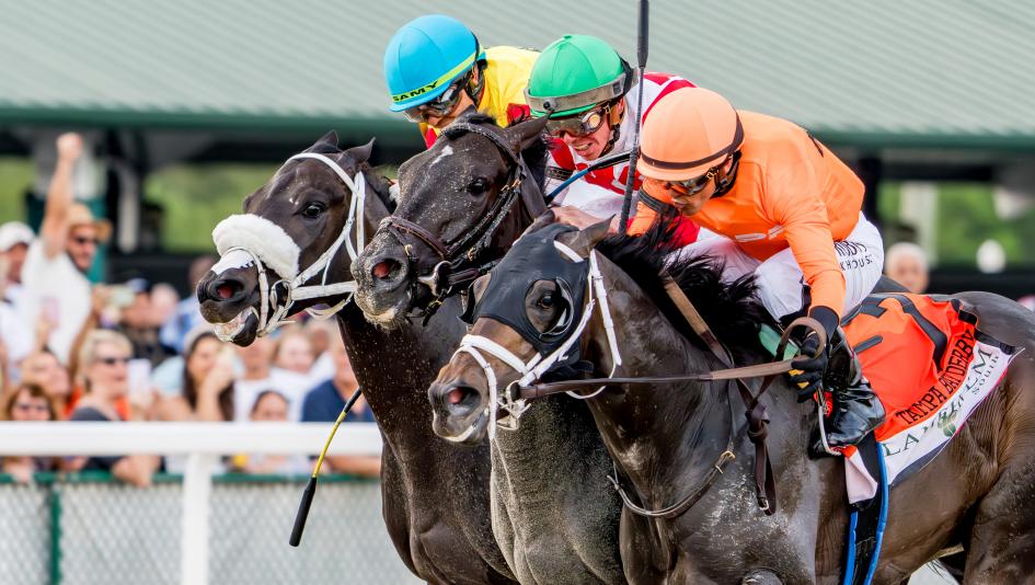 Domestic Product, Lambholm South Tampa Bay Derby, Chad Brown, Eclipse Sportswire Domestic Product, Lambholm South Tampa Bay Derby, Chad Brown, Eclipse Sportswire