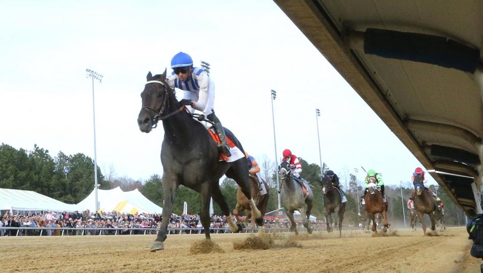 Incredibolt, Virginia Derby, Colonial Downs, America's Best Racing, ABR, horse racing