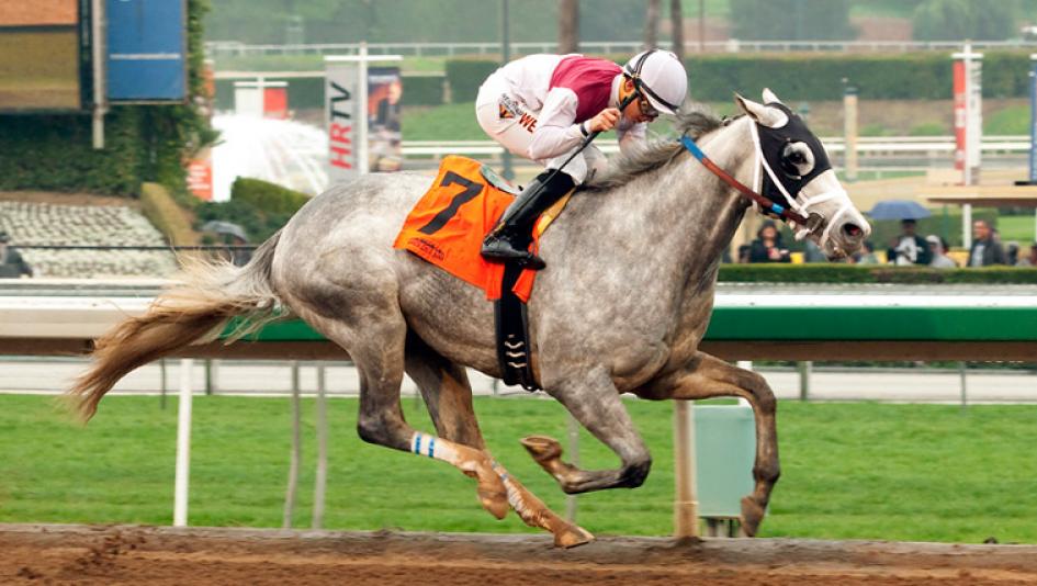 inside the trip calculator tabs the sham america s best racing
