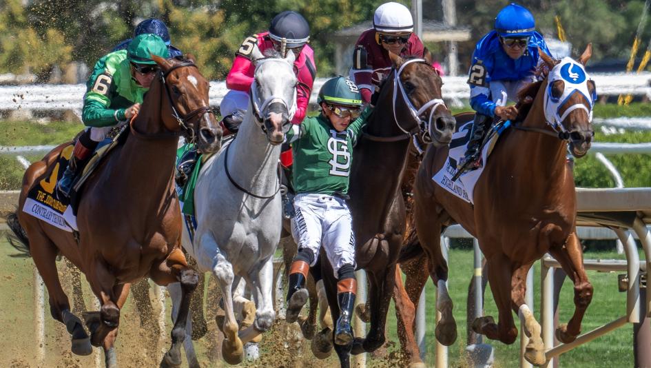 Media Eclipse Awards, Media, Eclipse Awards, photography, Skip Dickstein, multimedia, Freakonomics Radio, writing, horse racing, ABR, Jay Privman, news, enterprise, Natalie Voss, television, FOX Sports, Belmont, Riley Mott, Bill Mott, D. Wayne Lukas