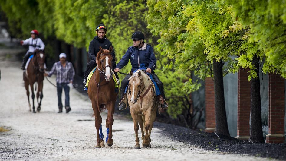 Justify will try to become the 11th Kentucky Derby winner since 1997 to also win the Preakness Stakes