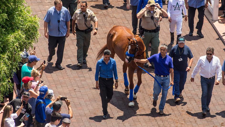 Triple Crown winner Justify will parade at Del Mar this weekend.