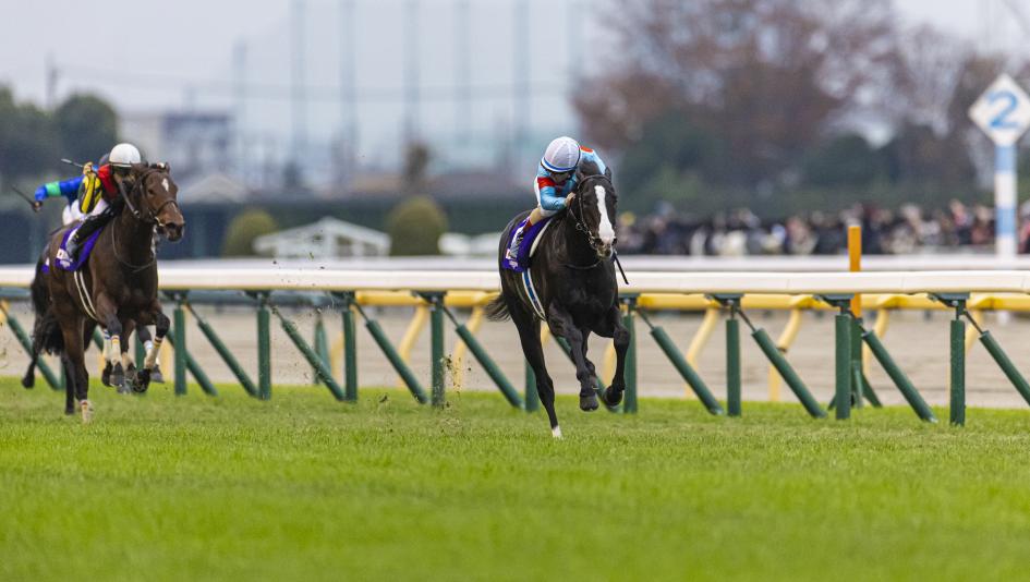International Superstar Equinox Rallies for Scintillating