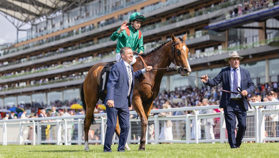 Calandagan Honored as 2025 World’s Best Racehorse, Forever Young and Sovereignty Among Group Tied for Second