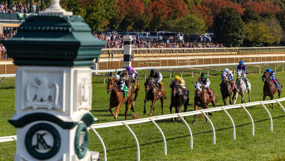Radio, TV, television, streaming, Breeders’ Cup, Keeneland, Santa Anita Park, Churchill Downs, Woodbine, Gulfstream Park, FanDuel TV, FS2, harness, FOX Sports, RTN, HRRN, Byk, entries, horse racing, ABR