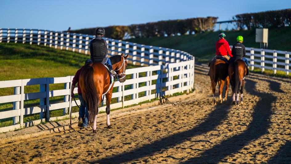 Breeders’ Cup, favorites, betting, longshots, overlay, Dirt Mile, Turf Sprint, Juvenile, Mile, Notable Speech, Hughes, Baffert, Ward, Bacio, Further Ado, Lake Forest, True Love, Iron Man Cal, Yellow Card, horse racing, gambling, handicapping, ABR
