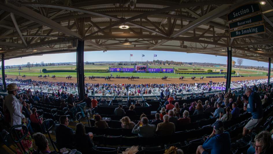 Breeders’ Cup Classic, trifecta, gambling, picks, betting, Forever Young, Sovereignty, The Puma, Golden Tempo, T O Password, Magnitude, Knightsbridge, Flavien Prat, horse racing, Tordjman, Curry, Reed, Michaels, ABR