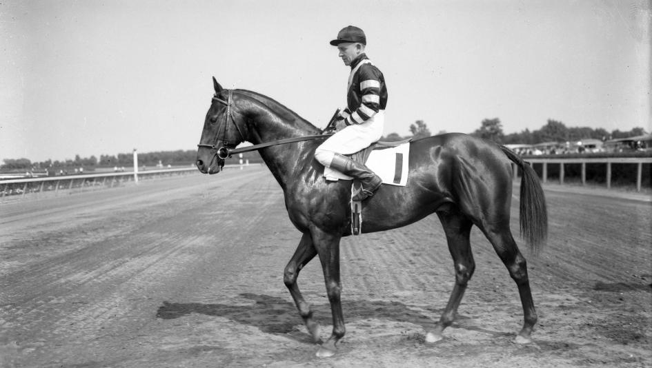 Triple Crown Turning Point: How War Admiral Nearly Slipped Away From Owner Riddle