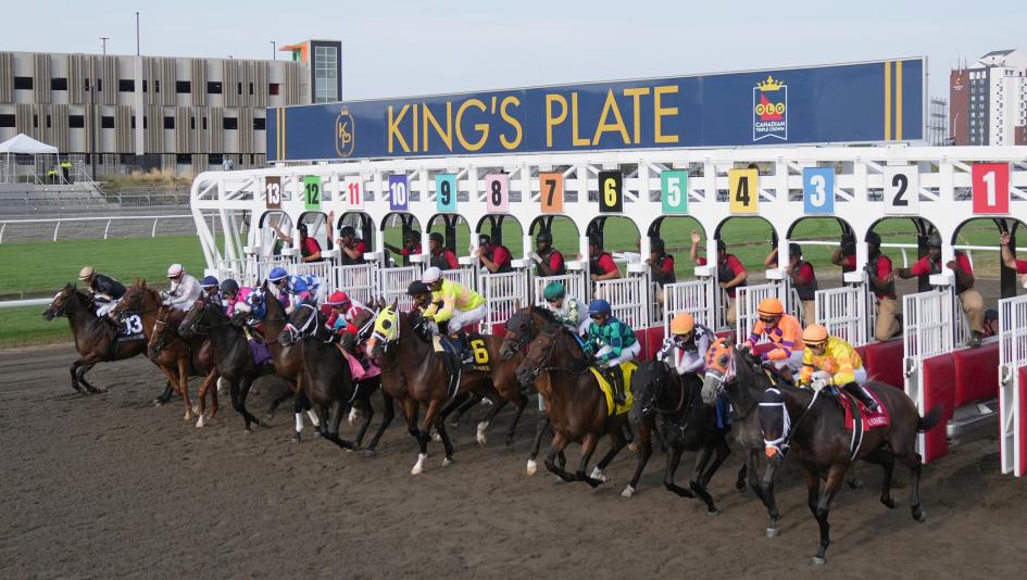 King's Plate, Canadian Triple Crown, Woodbine, horse racing, America's Best Racing, ABR