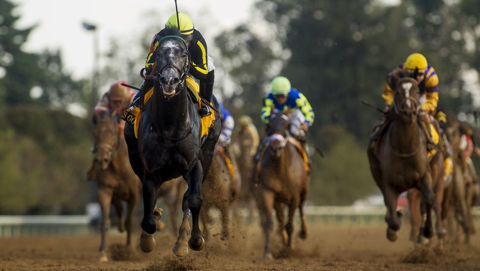 Knicks Go Backs Up 70 1 Shocker With Bang Up Second In Juvenile America S Best Racing