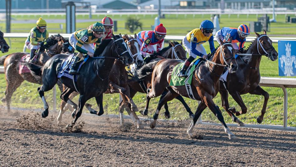 2026 Louisiana Derby Cheat Sheet