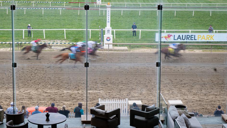 Preakness Stakes, trifecta, picks, horse racing, gambling, ABR, Incredibolt, Chip Honcho, The Hell We Did, Iron Honor, Taj Mahal, Ocelli, Laurel Park, speed, closer, Robusta, pace, horseplayer, wheel, key, box