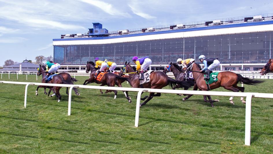 Noel’s Weekend Winners: Best Bets for Preakness Undercard at Laurel Park