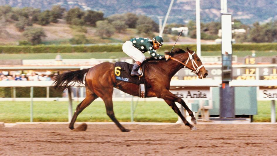 Landaluce, 1982 Oak Leaf Stakes, BloodHorse Library