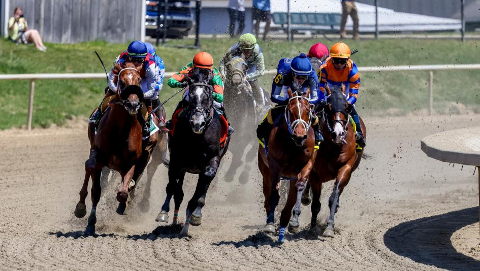 De Francis Dash, Laurel Park, horse racing, America's Best Racing, ABR