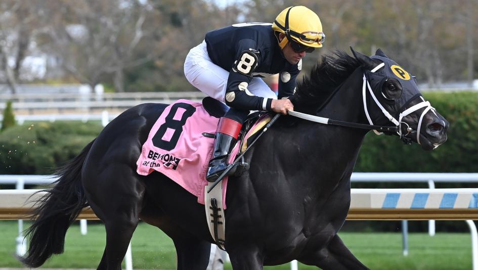 Betting on an Upset in the Golden Rod Stakes