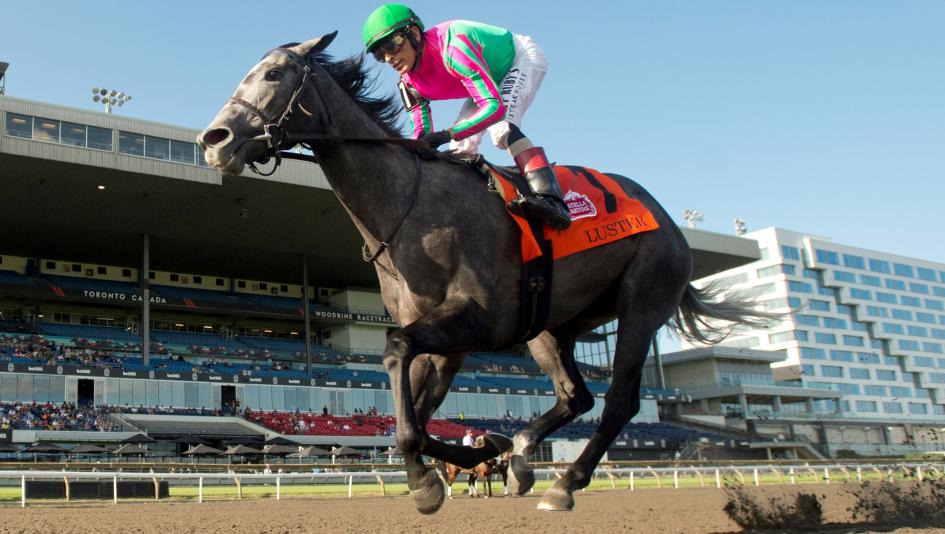 A Trifecta Strategy for Betting Woodbine Oaks Winner Luster in the King’s Plate
