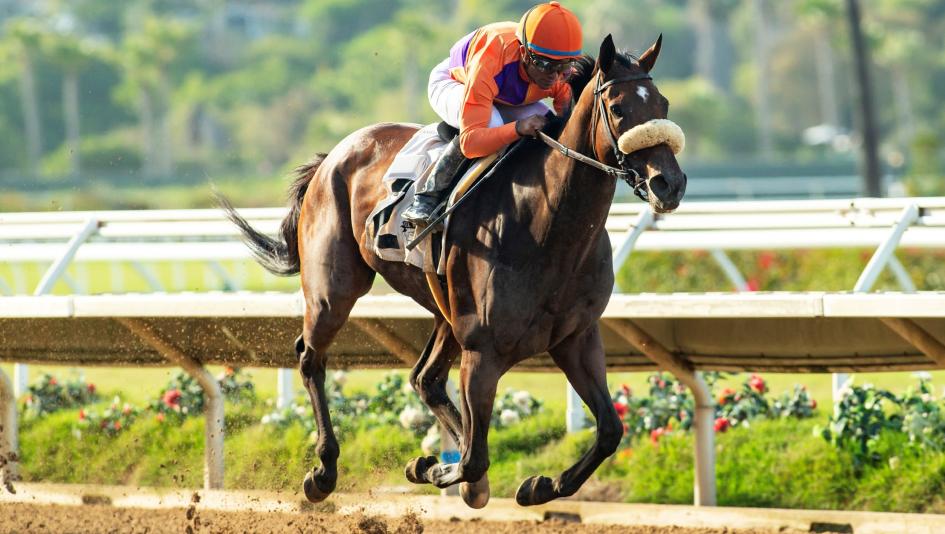 Magnificat, Zenyatta Stakes, Santa Anita Park, horse racing, America's Best Racing, ABR