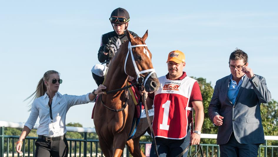 Math Wizard is aiming for the Breeders' Cup less than a year after being claimed for $25,000.