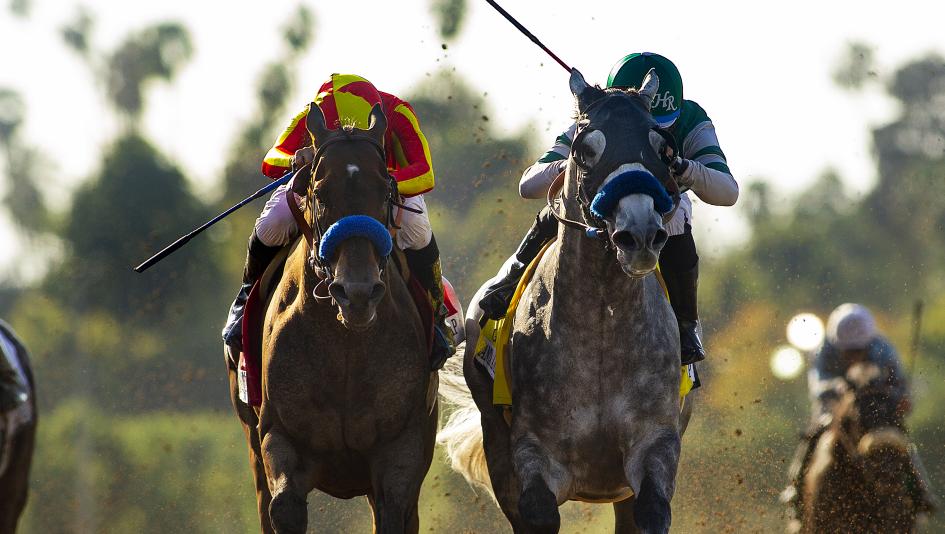 McKinzie (left) and Gift Box are among the top 10 Breeders' Cup Classic contenders in the country.