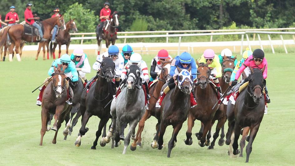 Arlington Million, Colonial Downs, horse racing, America's Best Racing, ABR