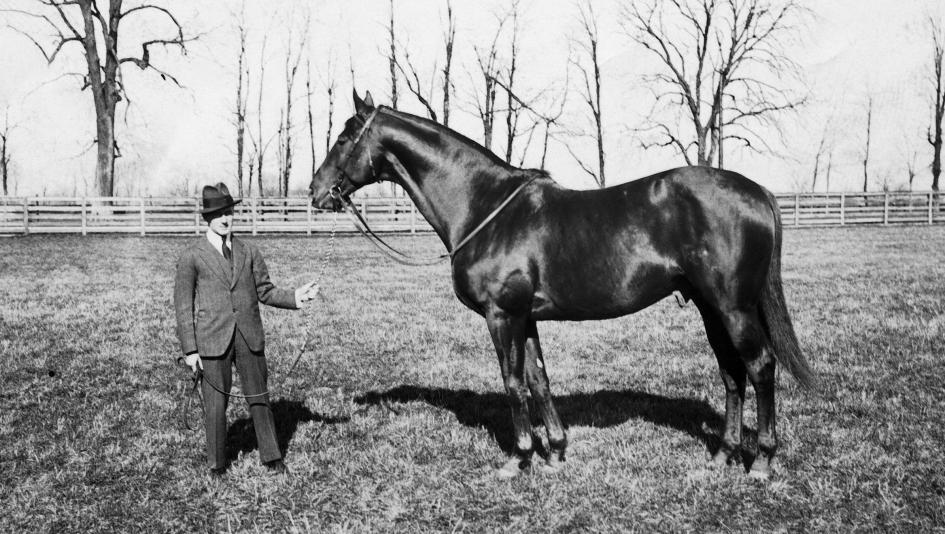 Remembering Man O War On The 100th Anniversary Of His Birth America S Best Racing