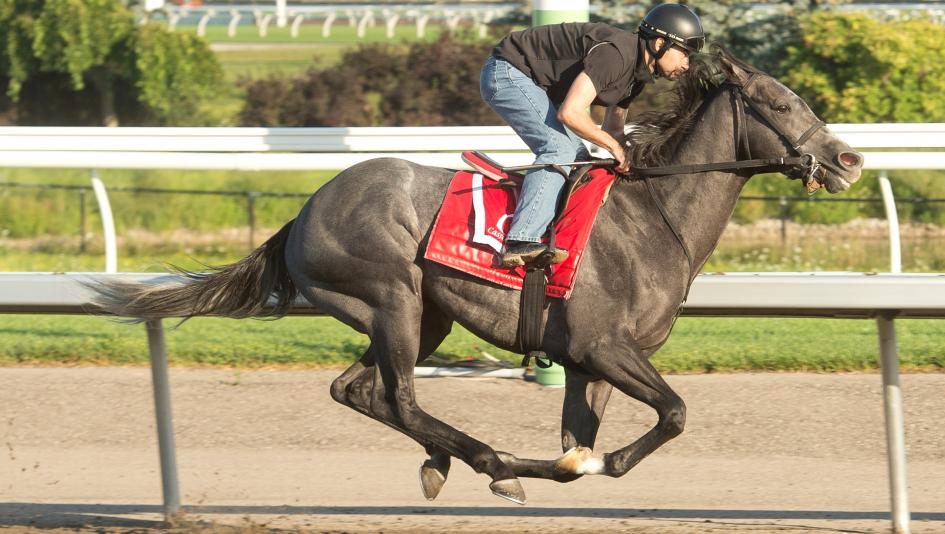 My Boy Prince, King's Plate, Woodbine, Michael Burns My Boy Prince, King's Plate, Woodbine, Michael Burns
