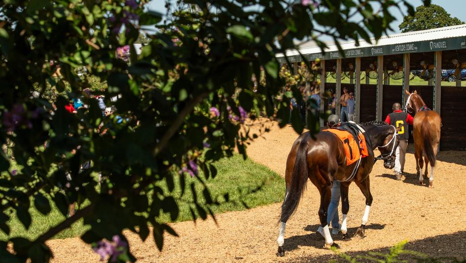 Mint Millions Invitational Stakes, Kentucky Downs, America's Best Racing, horse racing, ABR