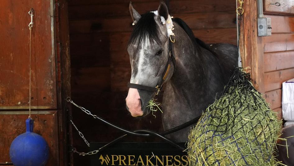Napoleon Solo, Triple Crown, Preakness, Laurel Park, horse racing, America's Best Racing, ABR