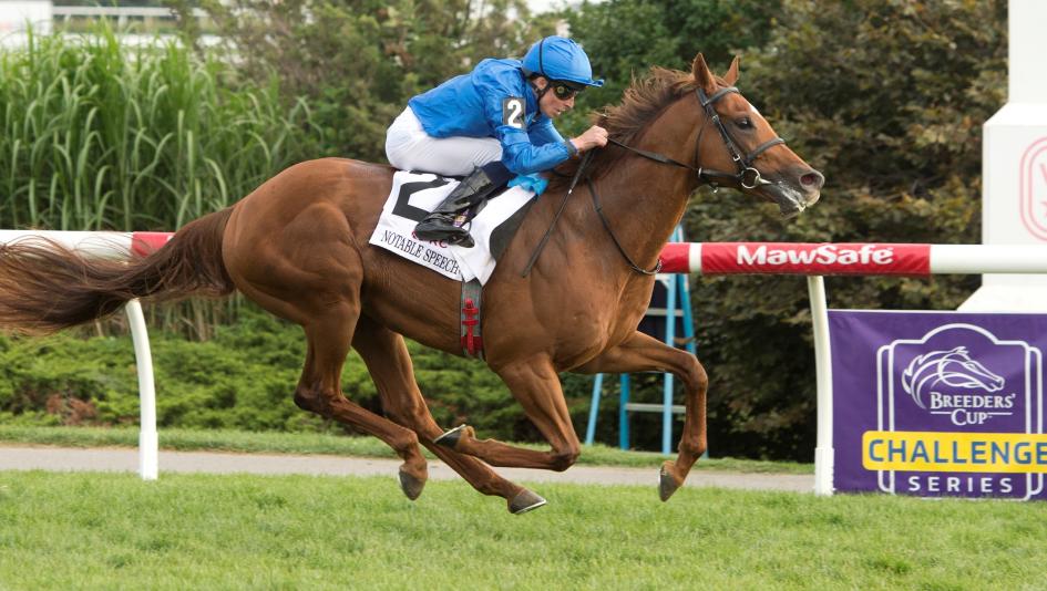 Buy or Sell on Road to Breeders' Cup: Woodbine Mile Winner Notable