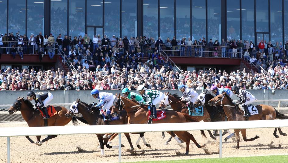 Smarty Jones Stakes, Oaklawn Park, betting, win, horseplayer, Universe, Baytown Dreamer, Boca Beach Club, Silent Tactic, Rancho Santa Fe, Oscar’s Hope, Strategic Risk, Scar Ship, Sleepingonfreedom, trainer, McPeek, Kentucky Derby, jockey, Rosario, ABR