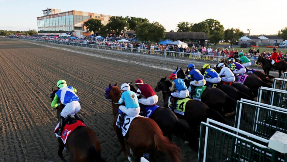 Pennsylvania Derby, Cheat Sheet, Zihnal, Iron Honor, Our Moneyman, Igniter, Talk to Me Jimmy, The Puma, Further Ado, Freedom’s Echo, Sassmaster, Micanopy, Ponder and Dream, owner, trainer, jockey, horse racing, ABR