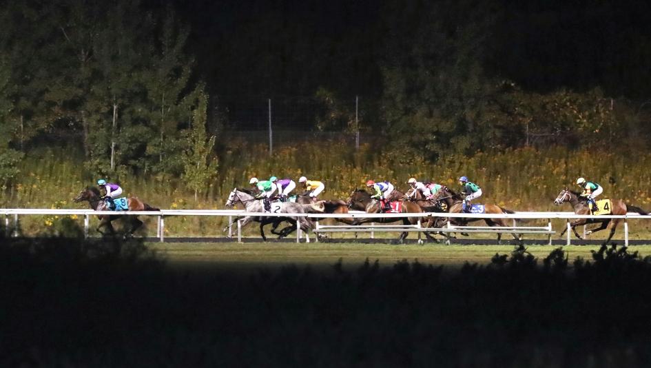 2026 Presque Isle Downs Masters Stakes Cheat Sheet