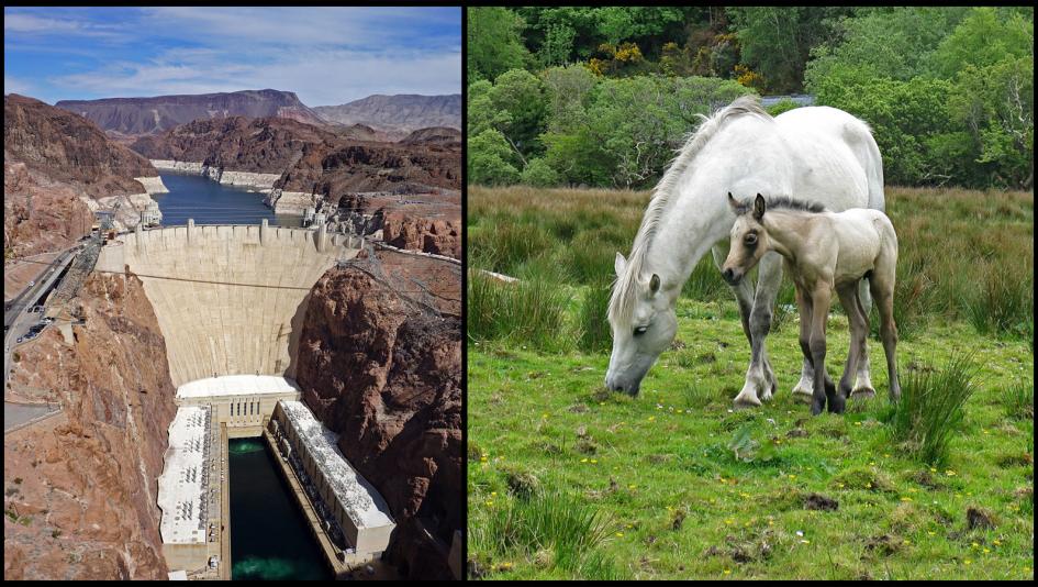 Seventeen Words That Mean Something Different to Kentucky Derby Fans