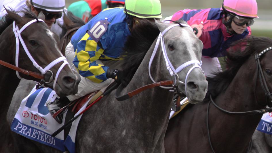 Praetereo, who finished in the money in 40 of his 82 career starts, is thriving as an OTTB under the care of Sharon Potter.