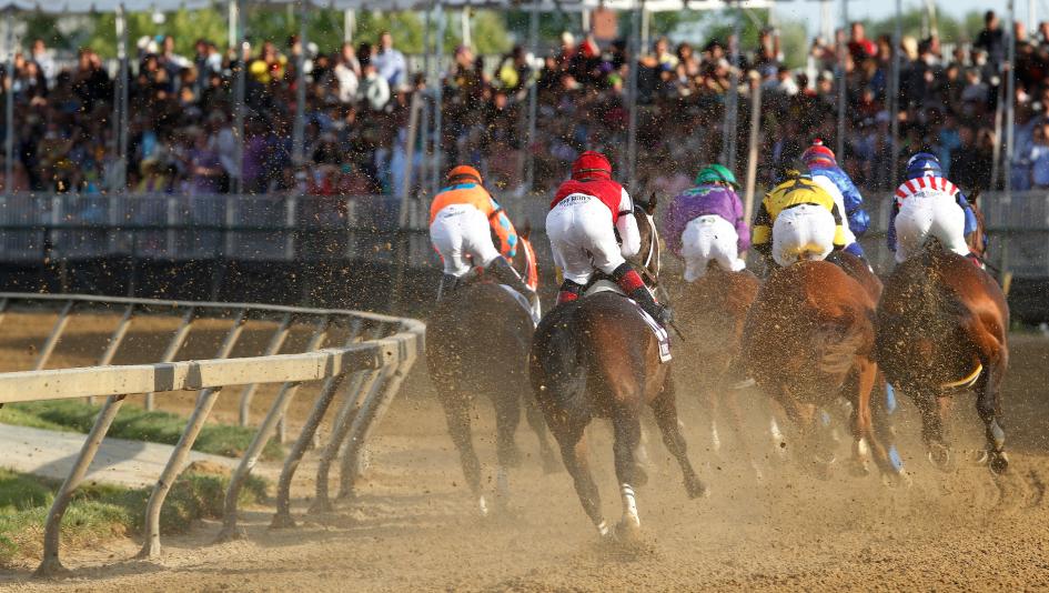 Romans-Trained Everfast Boosts Preakness Cast To 13
