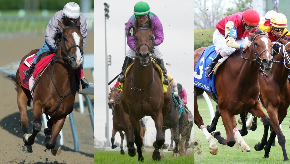 Skywire, Avie's Flatter, and Desert Ride are among the top contenders for Saturday's Queen's Plate.