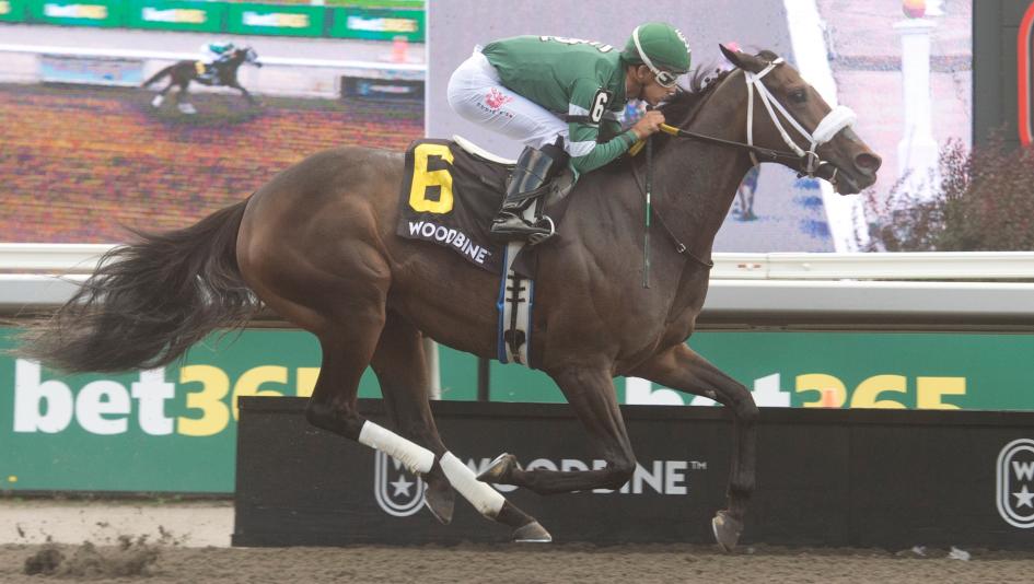 Reagan's Flame, Presque Isle Downs Masters Stakes, Presque Isle Downs, horse racing, America's Best Racing, ABR