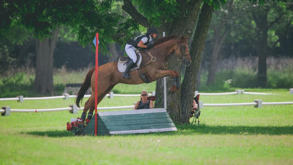 Salesman, OTTB, ex-racehorse, retired racehorse, eventing, competition, Thoroughbred Makeover, Kristina Hobbs, training, aftercare, ABR